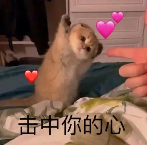 当钢铁直男开口说情话好家伙这谁顶得住啊