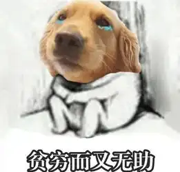 kukuQ表情包怎么下载金