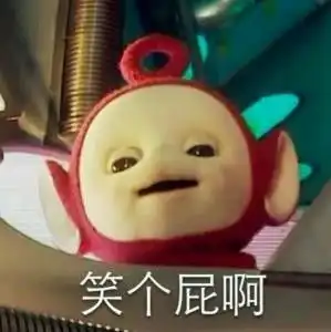 哪里有好玩的表情包宝宝