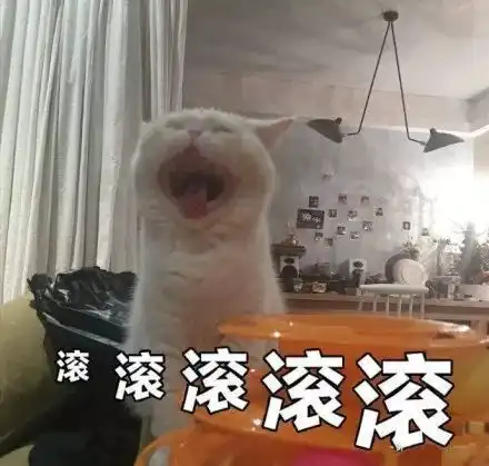表情包你在吃什么有我的吗