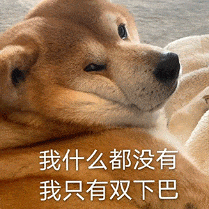 乱七八糟的表情包,我可太喜欢了