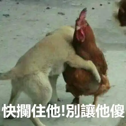 花式兑钱看内地男子如何在澳门用纸巾扮巨款,事情是这样的...