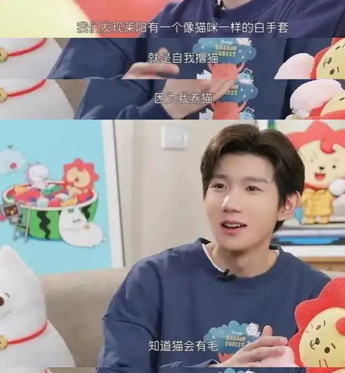 王源谈莱阳的创作灵感,与王俊凯的个性吻合,玩偶生日还是921