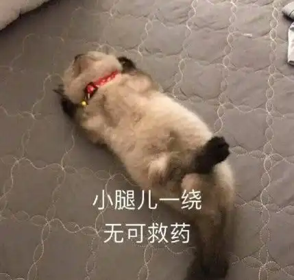 原来是这一步做错了你的定投还在止损吗