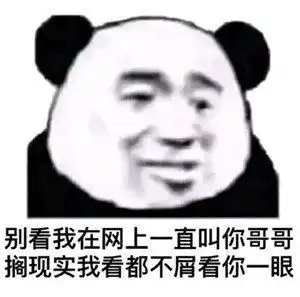 被生活所迫的表情包熊猫