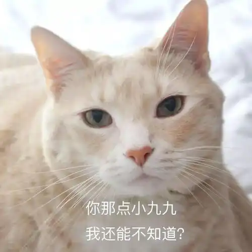 微信聊天套路表情包i我派直升机去接你