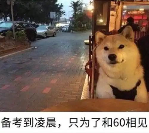 2021年社工考试结束了,你想说的都在社工表情包里了