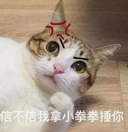 男生抱猫咪头像图片讨厌