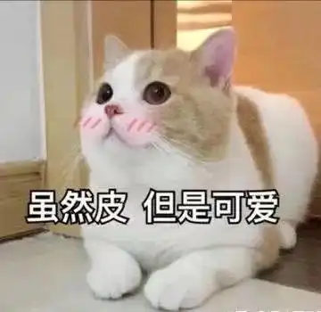 这甜甜的表情还不发给对象吗