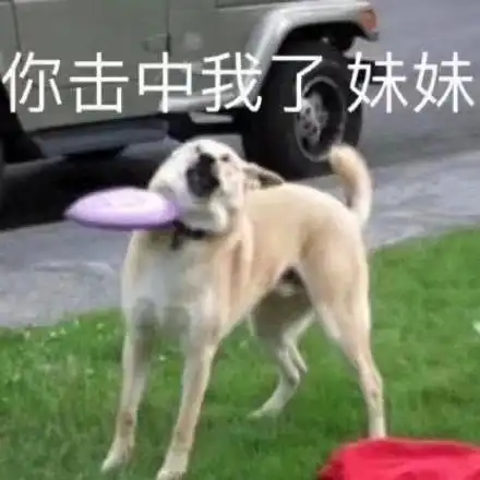 搞笑表情包妹妹你击中我了,尴尬不失礼貌的微笑