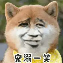 柴犬表情包卡通gifgif