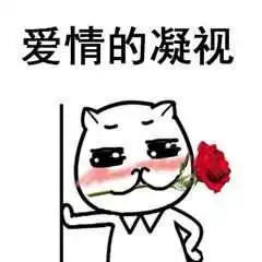 抖音我有个恋爱想跟你谈一下高清无水印表情包分享