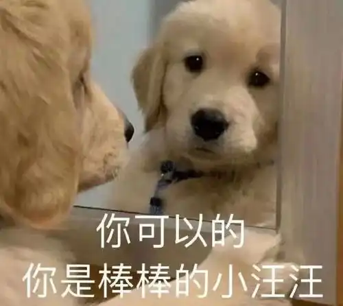 有意思,00后想要社交公平