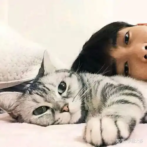 猫咪为什么更喜欢男生其实隐藏了这几个原因