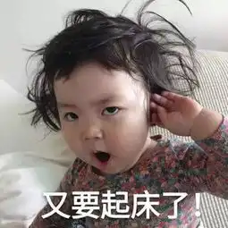 2分钟极速飞驰1200米,小编为何对丛林飞龙情有独钟