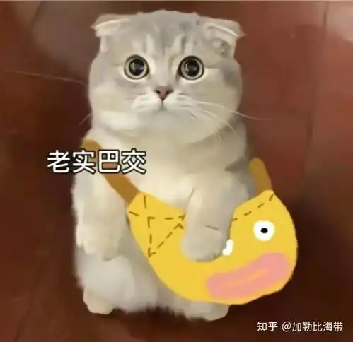 这个测试真的绝了,轻轻松松找到合适的他
