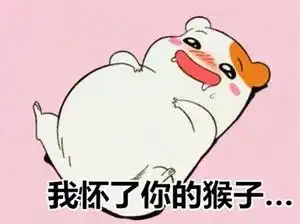 母猪图片表情包家鼠