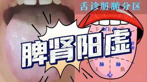 阳气不到就是病,舌苔白腻,典型的脾肾阳虚舌,怪不得身体那么虚