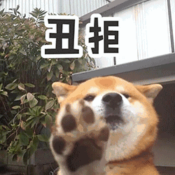 倪妮都是怎样隐藏自己的大头