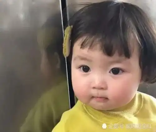胖娃表情包孙俪