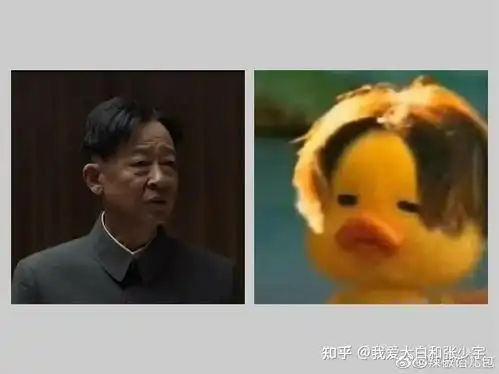 电视剧叛逆者有哪些有趣的梗,或者有趣的表情包