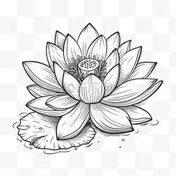 荷花素描图片荷花素描图片素材免费下载千库网