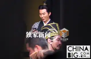 李晨表情包古风