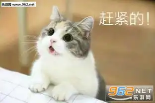 我要吃肉肉软萌图片表情给钱我要吃肉肉猫咪表情包下载乐游网游戏下载