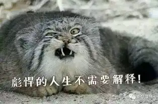 春节上班第一天,如何脉动回来
