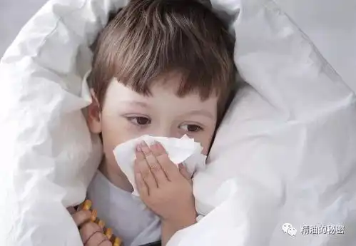 感冒发烧鼻塞咽炎咳嗽......这款精油帮你完美解决