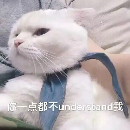 影响猫咪颜值的元凶泪痕,你知道如何打败它么