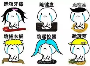 相濡以沫五十载,现在终于圆梦弥补遗憾了