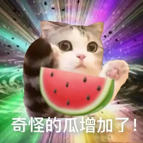 这款猫粮,在后台竟被留言追问了50页...