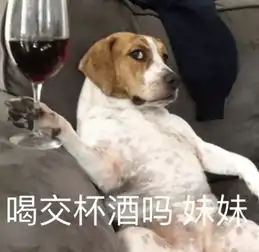 搞笑狗子表情包撩到你了吗,妹妹