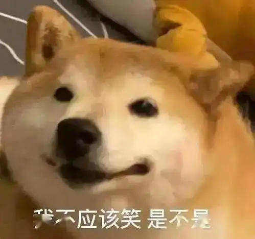 重要提醒部分入口或临时关闭