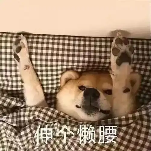 合理relaxation才是生活的解药