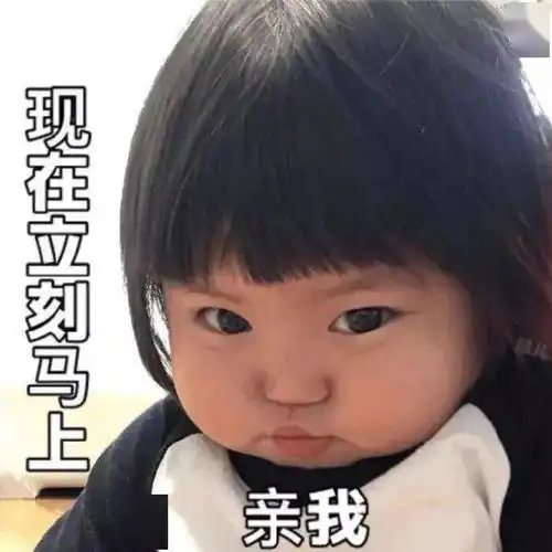 斗图表情包合集气死本仙女了