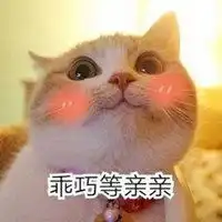 电你猫猫图表情包微信头像图片大全