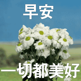 麦克阿瑟动态表情包