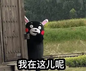 放炮的图片表情包大全沙