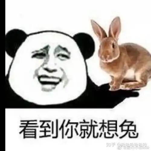 我叫山鸡表情包骂架
