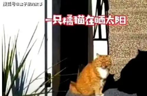 心情不好用这些搞笑图片,治愈你的不开心