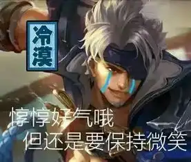 王者荣耀买皮肤表情包冰