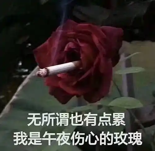 祝白头偕老