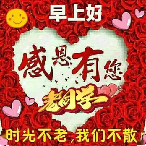 早上好表情包,感恩有你,老同学时光不老,我们不散祝福