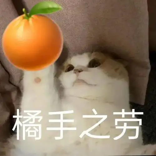 第70期喵表情这1秒有60w人在啵啵,而你呢