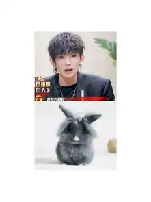 王源吸睛新造型,像极了炸毛的兔子