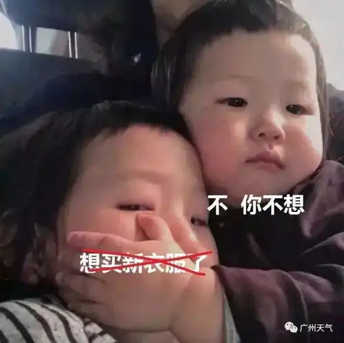 广东又被踢出入秋群聊广东我太南了