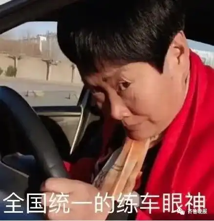 山东一大姐练倒车练出表情包,网友我本人