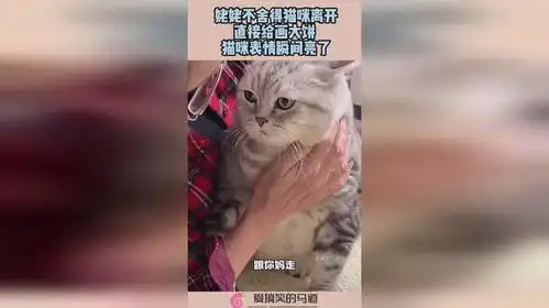 姥姥不舍得猫咪离开,直接给画大饼,猫咪表情瞬间亮了